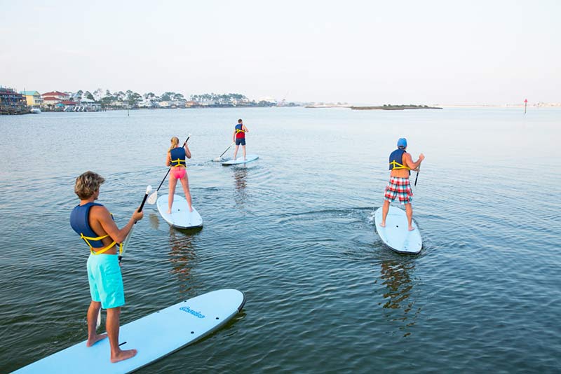 Paddleboard Rentals